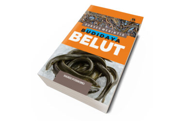 SUKSES MERINTIS BUDIDAYA BELUT